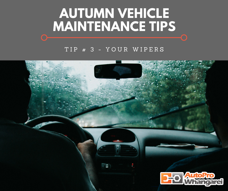 Autumn Tip # 3 - Your Wipers