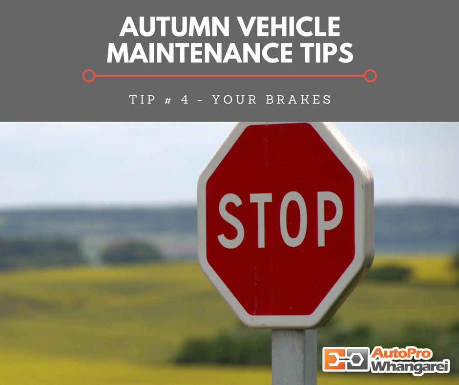 Autumn Tip # 4 - Your Brakes